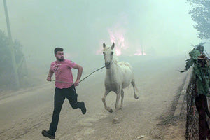 Κάτοικοι προσπαθούν να σώσουν τα ζώα τους