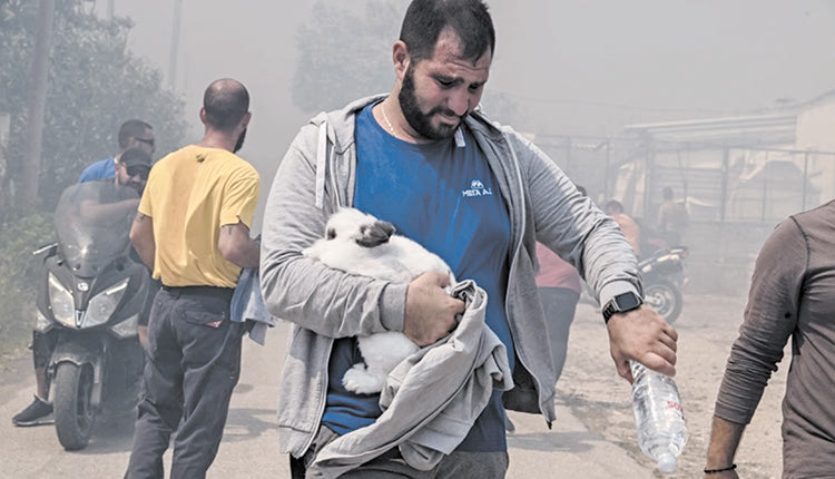 Συγκινούν  εθελοντές και ζωόφιλοι στις πυρκαγιές