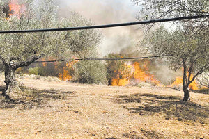 Δεν ξέφυγε η πυρκαγιά στο Ασήμι