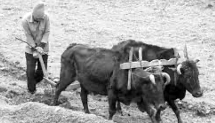 ΦΩΤΟΗΜΕΡΑΣ: ΠΡΟΕΚΤΑΣΕΙΣ