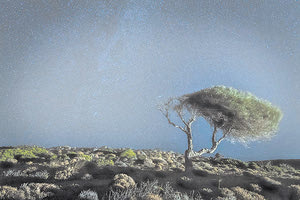 ΟΜΑΔΙΚΗ ΕΚΘΕΣΗ ΟΡΓΑΝΩΝΕΙ Η ΕΛΛΗΝΙΚΗ ΦΩΤΟΓΡΑΦΙΚΗ ΕΤΑΙΡΕΙΑ ΗΡΑΚΛΕΙΟΥ Φωτογράφοι εκθέτουν στον Λάκκο