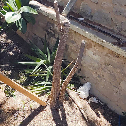 ΒΑΝΔΑΛΙΣΜΟΣ ΣΕ ΠΑΙΔΙΚΗ ΧΑΡΑ ΗΡΑΚΛΕΙΟ ΑΥΓΕΝΙΚΗ