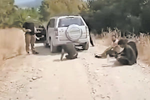 Διπλή παραγγελία του Αρείου Πάγου για τα φαινόμενα ρατσιστικής βίας