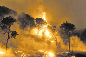 Δεν έχει προηγούμενο η καταστροφή στον Έβρο