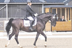 Ο Καλαράκης πρωταγωνιστεί στο Ευρωπαϊκό