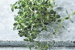 Τα ευρήματα της μελέτης αφορούν κυρίως τον πονοκέφαλο, τη μυαλγία, τη γενική κόπωση, τον πυρετό