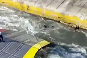 Ο πλοίαρχος είχε δει από την κάμερα την πτώση του Αντώνη στη θάλασσα