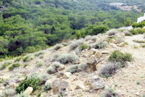 Μνημόνιο για την προστασία της Γαύδου υπογράφεται τη Δευτέρα