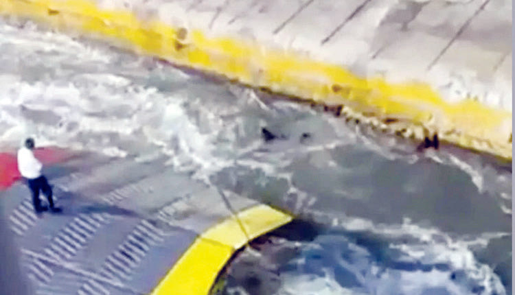 ΔΟΛΟΦΟΝΙΑ ΑΝΤΩΝΗ