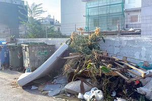 Η αλήθεια είναι ότι η κατάσταση με την καθαριότητα στο Ηράκλειο δεν πάει καθόλου καλά. Και το πρόβλημα δεν αφορά μόνο το θλιβερό σκηνικό των μικρών χωματερών που «χτίζονται» γύρω από τους κάδους απορριμμάτων, όπως στην οδό Λευθεραίου