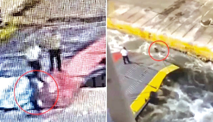 δολοφονια αντωνη blue horizon