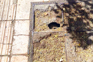 ΠΟΙΑ ΠΕΖΟΔΡΟΜΙΑ; Ένα μαύρο... χάλι το Ηράκλειο!