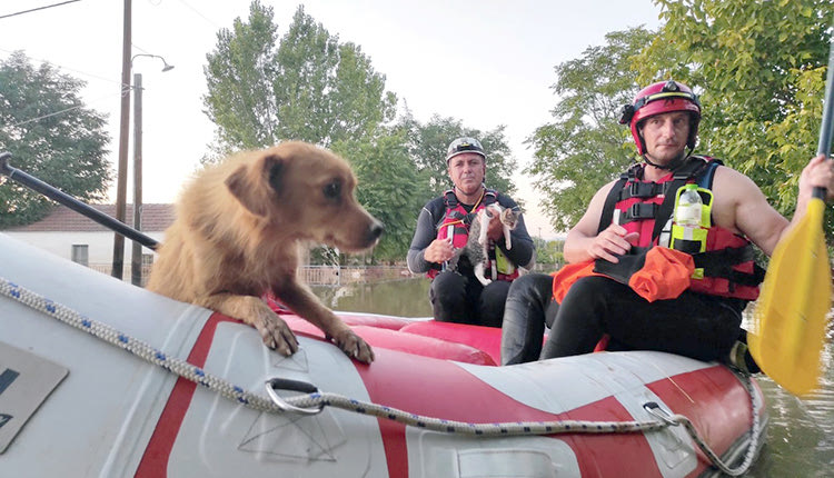 3Η ΕΜΑΚ ΚΡΗΤΗΣ