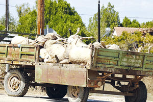ΠΛΗΜΜΥΡΕΣ: Αγώνας επιβίωσης πλέον στον κάμπο