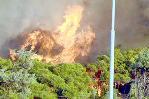 Φυλάκιση και δέσμευση περιουσιακών στοιχείων θα αντιμετωπίζουν οι εμπρηστές