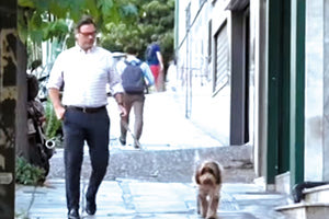 Ο Στέλιος Κασσελάκης είναι οκτώ χρόνια μεγαλύτερος από τον Στέφανο