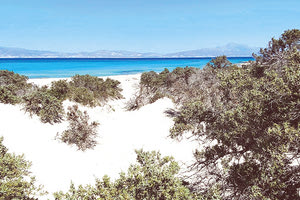 ΧΡΥΣΗ ΓΑΙΔΟΥΡΟΝΗΣΙ