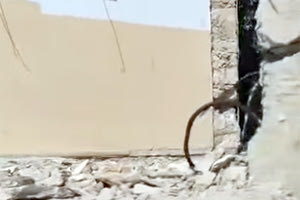 ΑΡΚΑΛΟΧΩΡΙ ΚΙΝΔΥΝΟΣ ΣΤΟ ΣΧΟΛΕΙΟ