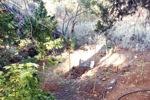 Βρήκαν μικρή φυτεία και το αποξηραντήριο με 10 κιλά χασίς