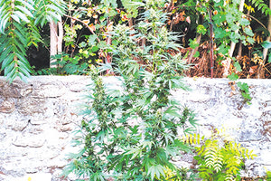 Ο ένας αδελφός συνελήφθη, ο άλλος αναζητείται