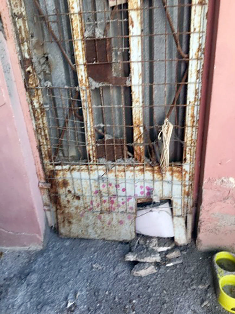 Φιλοζωικές: 
Νέα έκκληση 
για τη διάσωση 
παγιδευμένων ζώων στον 
Ευαγγελισμό
