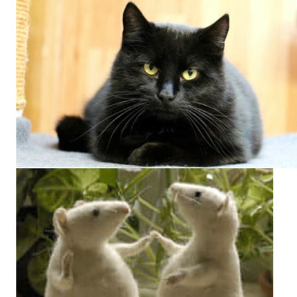 οταν λειπει η γατα χορευουν τα ποντίκια