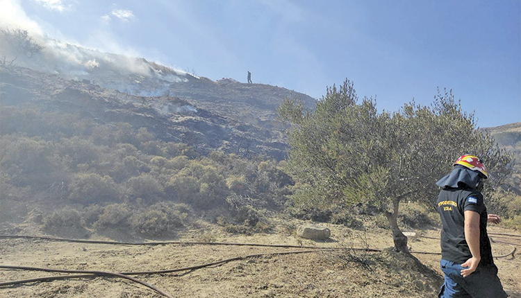 Η φωτιά τέθηκε σύντομα υπό έλεγχο