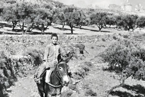 ΦΩΤΟΗΜΕΡΑΣ: Στην Κατοχή το 1942. Ένας νεαρός με το γαϊδουράκι του έξω από το χωριό Ξυδάς (Λύττος). Φωτογραφία Karl Ottahal.