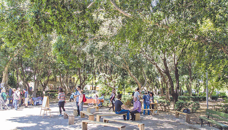 ΨΑΥΡΙΟ ΣΑΒΒΑΤΟ
Γιορτή των Πουλιών  
στο πάρκο Γεωργιάδη