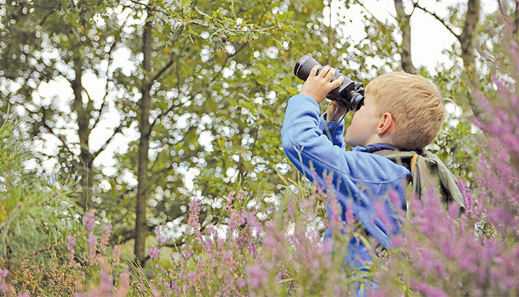 ΑΥΡΙΟ ΣΑΒΒΑΤΟ
Γιορτή των Πουλιών  
στο πάρκο Γεωργιάδη