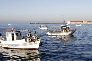 Τον Ιανουάριο η επίσημη έναρξης λειτουργίας του Ινστιτούτου για τα υδρόβια ζώα