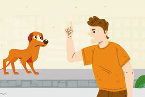 Ένα φιλμάκι για τα αδέσποτα ζώα από το Δήμο Ηρακλείου