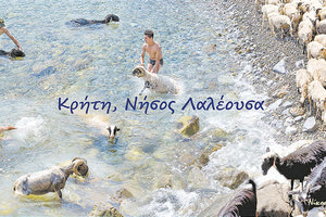 ΕΚΘΕΣΗ ΣΤΗΝ ΒΑΣΙΛΙΚΗ ΤΟΥ ΑΓΙΟΥ ΜΑΡΚΟΥ 120 «ομιλούσες» φωτογραφίες από τον Νίκο Ψιλάκη