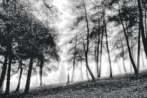 ΕΚΘΕΣΗ ΤΗΣ ΜΙΝΑΣ ΤΡΙΚΑΛΗ  ΣΤΗΝ Ε.Φ.Ε. ΗΡΑΚΛΕΙΟΥ