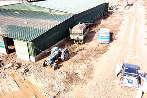 Σε πάνω από 150 εκατομμύρια υπολογίζονται οι αποζημιώσεις μέσω ΕΛΓΑ