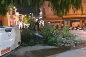 Μεγάλο κλαδί ευκαλύπτου  έπεσε στην πλατεία Ελευθερίας