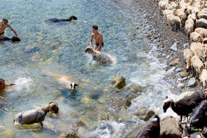 Στη Βασιλική του Αγίου Μάρκου  120 «ομιλούσες» φωτογραφίες !