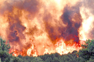 Κρήτη: Με θετικό πρόσημο έκλεισε η αντιπυρική περίοδος