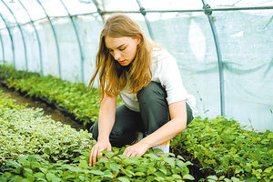 Αναρτήθηκε η προδημοσίευση για τους νέους αγρότες