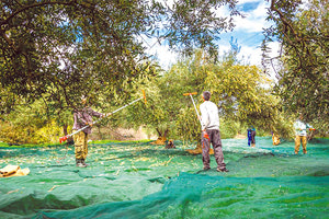 Άρχισε να καταρτίζεται η λίστα για τους εργάτες γης από τη Δυτική Μακεδονία