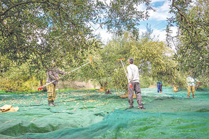 Ακόμα αναζητείται η… τρύπα των 88 εκατομμυρίων από τον ΟΠΕΚΕΠΕ