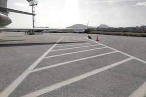 Αεροδρόμιο Ηρακλείου: Η ανώμαλη προσγείωση του... γύπα