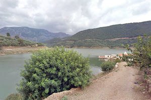 Στη Βουλή το θέμα των εργαζομένων στον Αποσελέμη