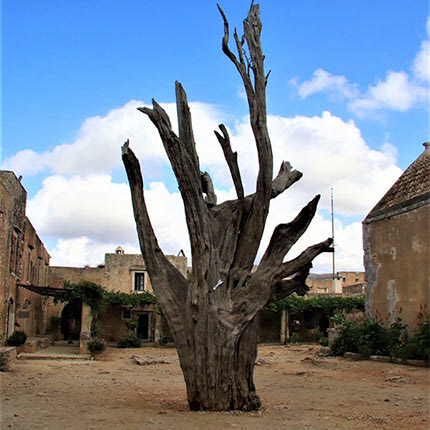  Ήταν 8 Νοεμβρίου του 1866… Tο Ολοκαύτωμα του Αρκαδίου… 