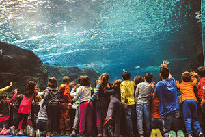 ενυδρειο κρητης