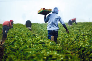 Σήμερα πληρωμές από τον ΕΛΓΑ