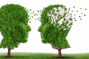 Αρχίζει αύριο το σεμινάριο για τους φροντιστές ανθρώπων με άνοια