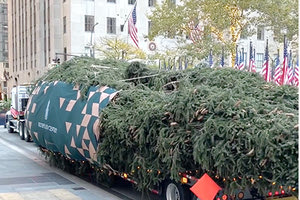 Το Χριστουγεννιάτικο Δέντρο λοιπόν έφτασε στο Rockefeller Center στη Νέα Υόρκη.