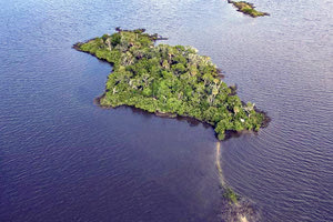 Σκάνδαλα εν μέσω κοροναϊού με εμπλοκή και ενός Έλληνα γιατρού