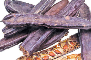 ΠΡΟΓΡΑΜΜΑ ΤΟΥ ΠΑΝΕΠΙΣΤΗΜΙΟΥ ΚΡΗΤΗΣ Διεπιστημονική προσέγγιση του χαρουπιού ως ένα case study βιωσιμότητας